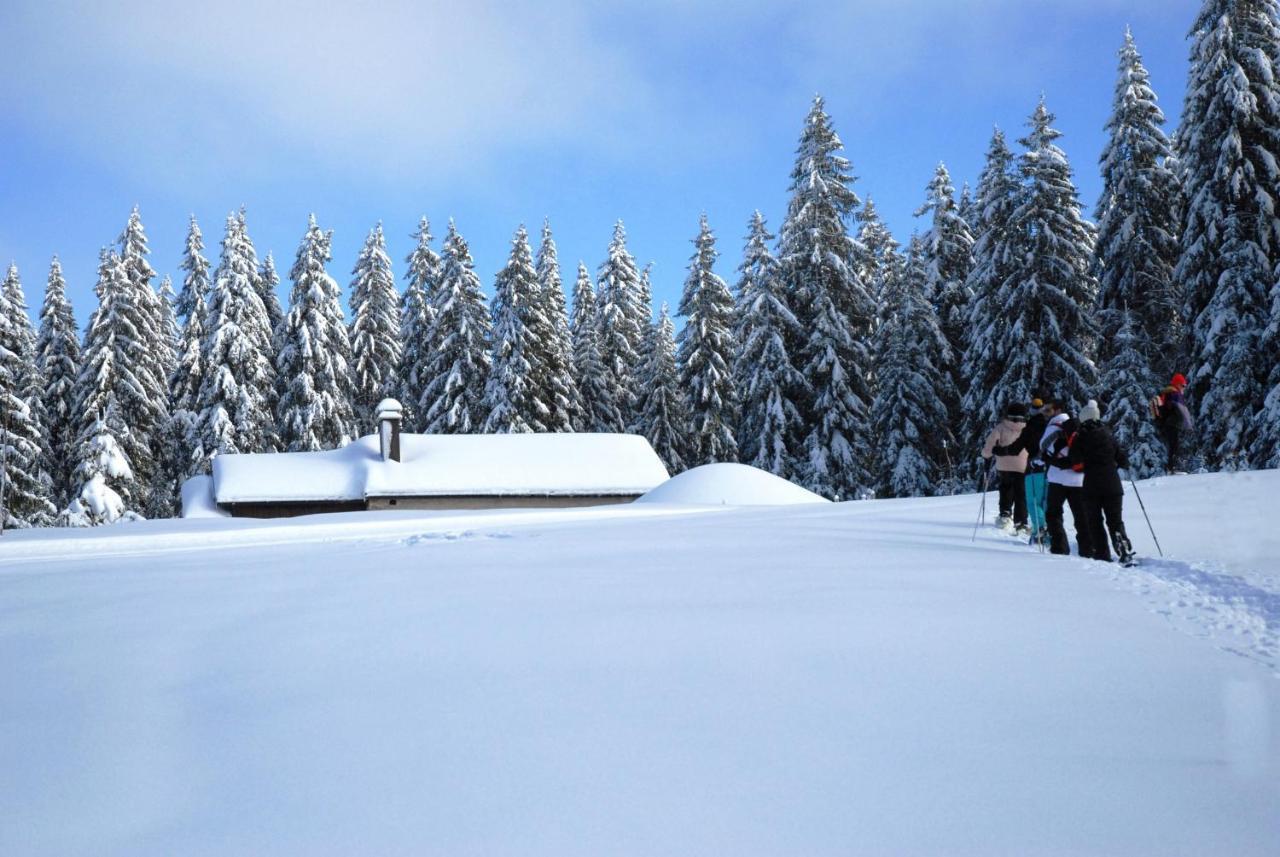 Chalet Le Petit Jura Villa Morbier Esterno foto