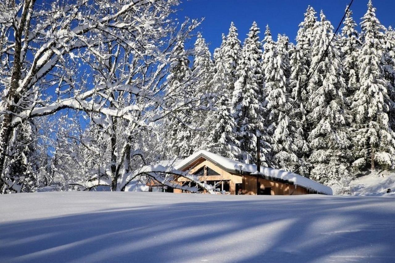 Chalet Le Petit Jura Villa Morbier Esterno foto